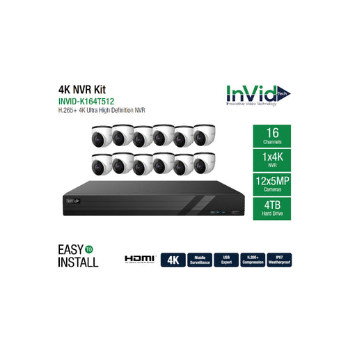 16 Channel NVR with 4 TB +(12) 5-Megapixel Cameras